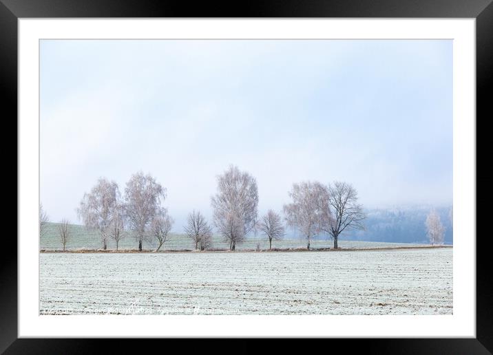 Winter czech countryside, trees and pastures. Czechia Framed Mounted Print by Sergey Fedoskin