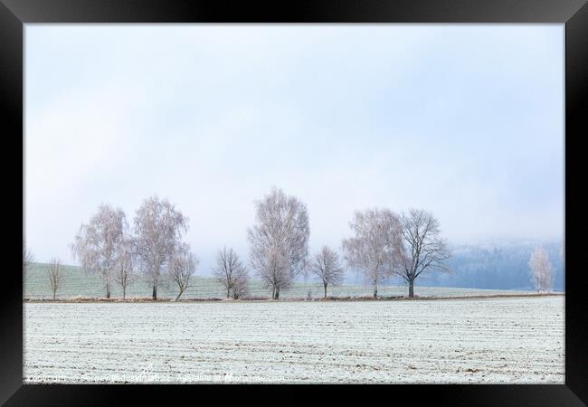 Winter czech countryside, trees and pastures. Czechia Framed Print by Sergey Fedoskin
