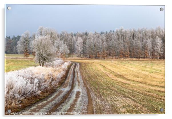Winter countryside road in Czechia. Acrylic by Sergey Fedoskin