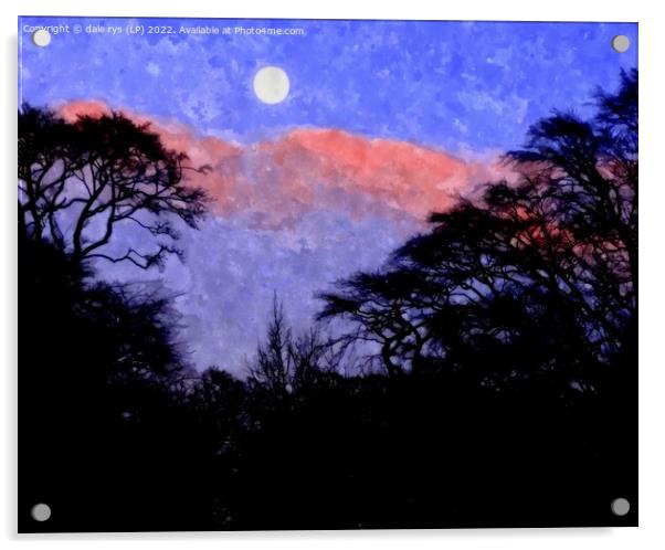 moody moon  Acrylic by dale rys (LP)