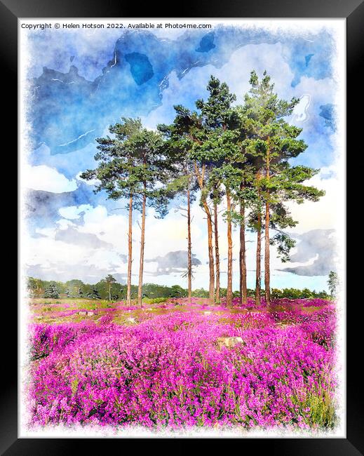 Summer Heather and Pine Trees Framed Print by Helen Hotson