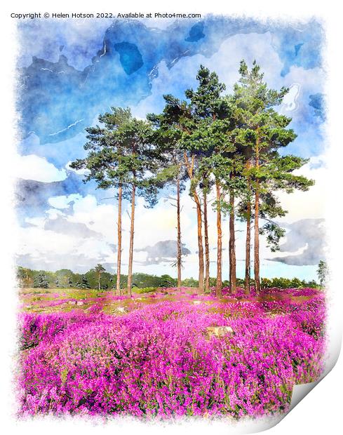 Summer Heather and Pine Trees Print by Helen Hotson