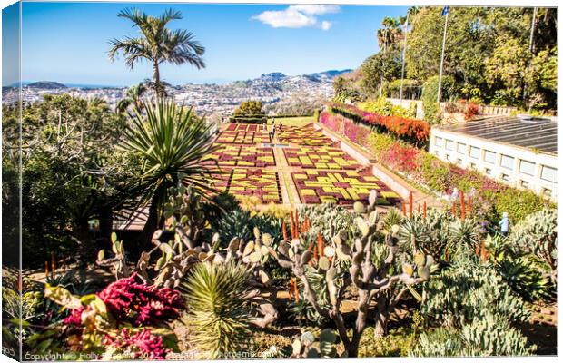 Madeira Botanical Gardens, Funchal  Canvas Print by Holly Burgess