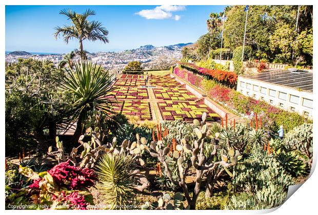 Madeira Botanical Gardens, Funchal  Print by Holly Burgess