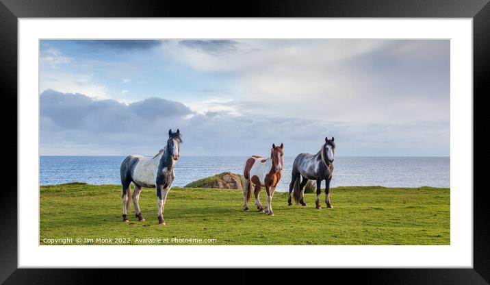 Horses by the sea, Northern Ireland Framed Mounted Print by Jim Monk