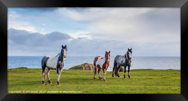 Horses by the sea, Northern Ireland Framed Print by Jim Monk