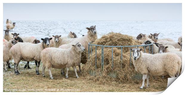 Sheep feeding in winter Print by Jim Monk