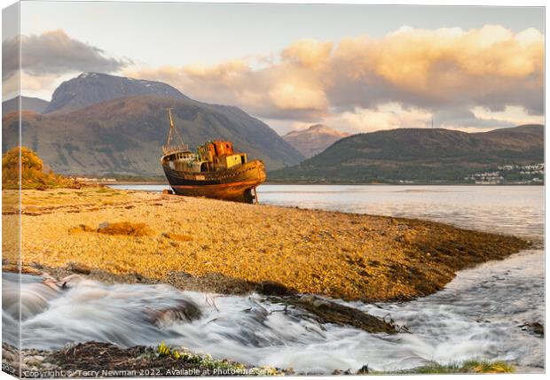 Majestic View of Scottish Shipwreck Canvas Print by Terry Newman