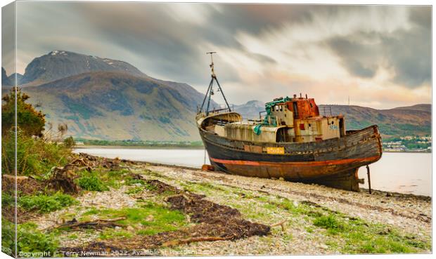 The Majestic Abandoned Shipwreck Canvas Print by Terry Newman