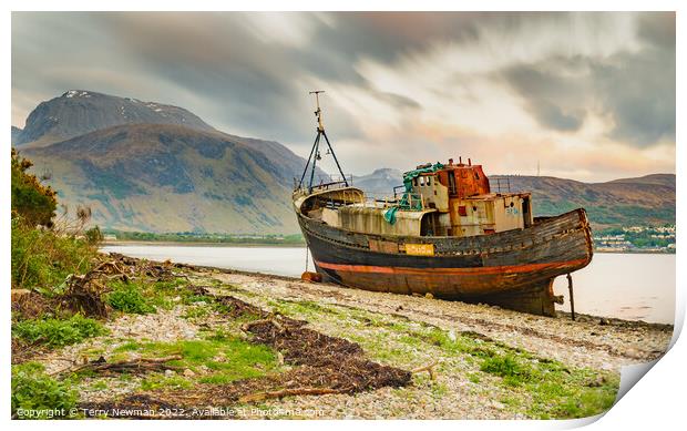The Majestic Abandoned Shipwreck Print by Terry Newman