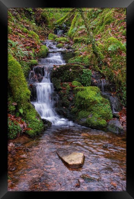 Exmoor stream Framed Print by Pete Hemington