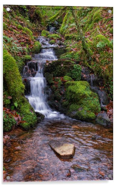 Exmoor stream Acrylic by Pete Hemington