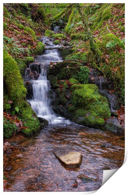 Exmoor stream Print by Pete Hemington