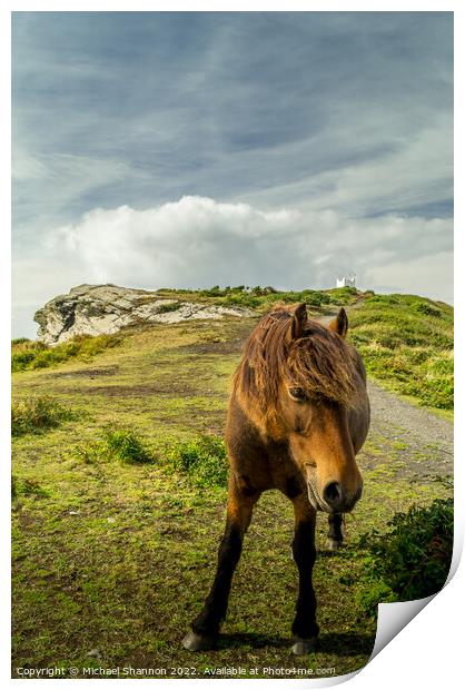 A brown horse / pony standing on top of the cliffs Print by Michael Shannon