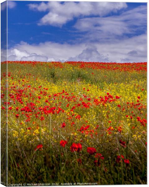 Poppy Field, Summer, Yorkshire Wolds Canvas Print by Michael Shannon