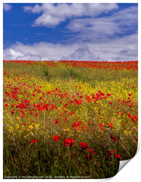 Poppy Field, Summer, Yorkshire Wolds Print by Michael Shannon