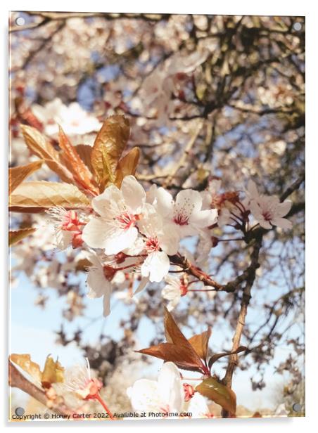 Summer Blossom  Acrylic by Honey Carter