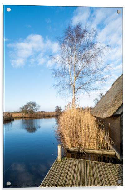 River Ant boat shed Acrylic by Chris Yaxley