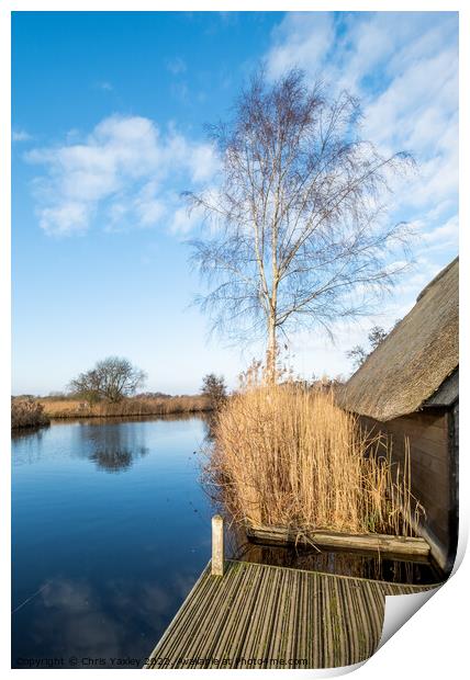 River Ant boat shed Print by Chris Yaxley