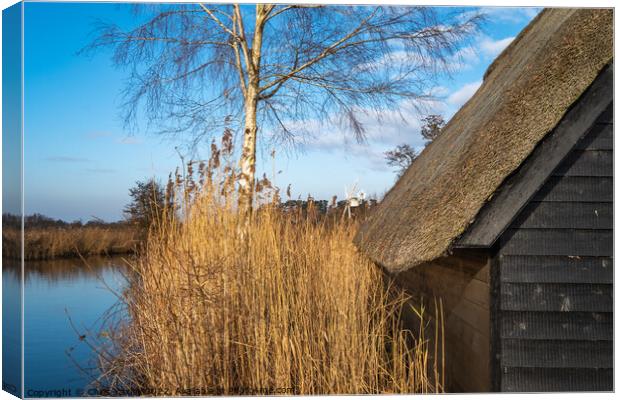Norfolk Broads boat shed Canvas Print by Chris Yaxley