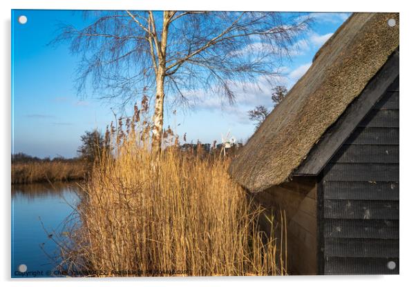Norfolk Broads boat shed Acrylic by Chris Yaxley