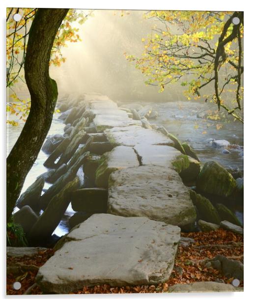 Tarr Steps Portrait Acrylic by David Neighbour