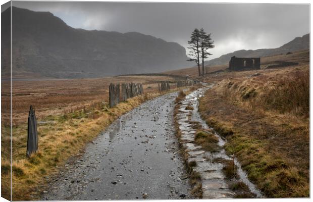 Cwmorthin storm Canvas Print by Rory Trappe