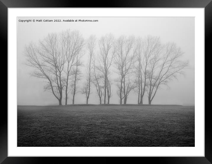 Trees in the mist Framed Mounted Print by Matt Cottam