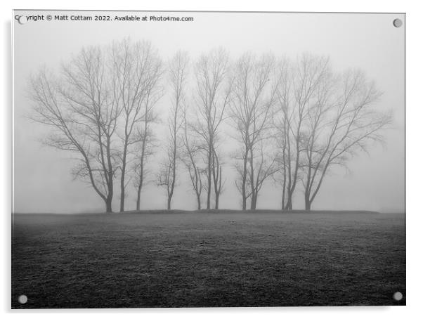 Trees in the mist Acrylic by Matt Cottam