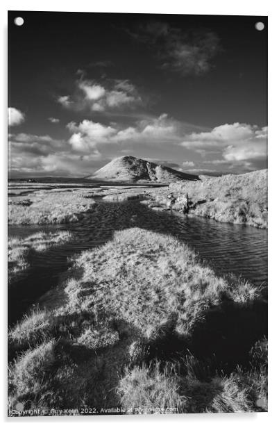 Ceapabhal hill from across the Northton Salt Marsh Acrylic by Guy Keen