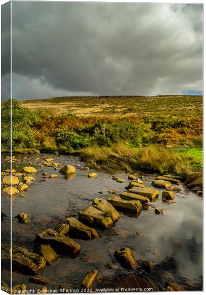 Stepping Stones over Wheeldale Beck, North Yorkshi Canvas Print by Michael Shannon