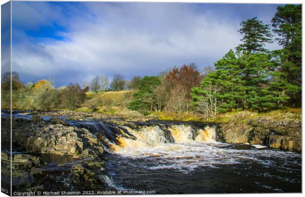 Low Force waterfall on the River Tees in Teesdale Canvas Print by Michael Shannon