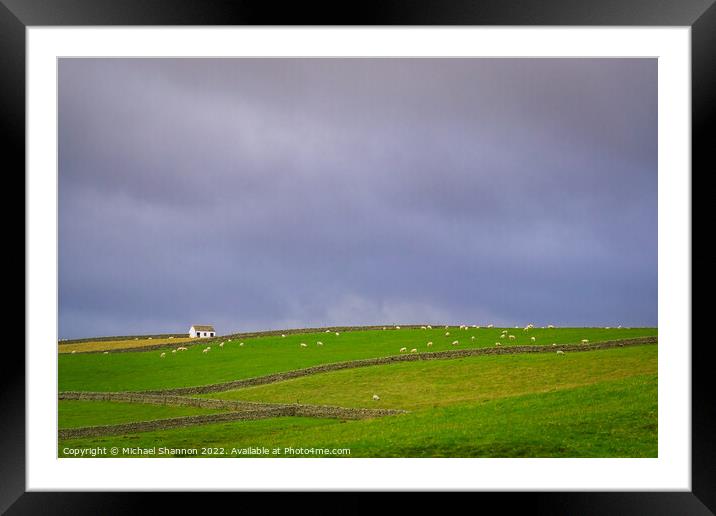 Stone Walls, Fields full of Sheep, Pennines Framed Mounted Print by Michael Shannon