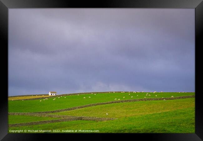 Stone Walls, Fields full of Sheep, Pennines Framed Print by Michael Shannon
