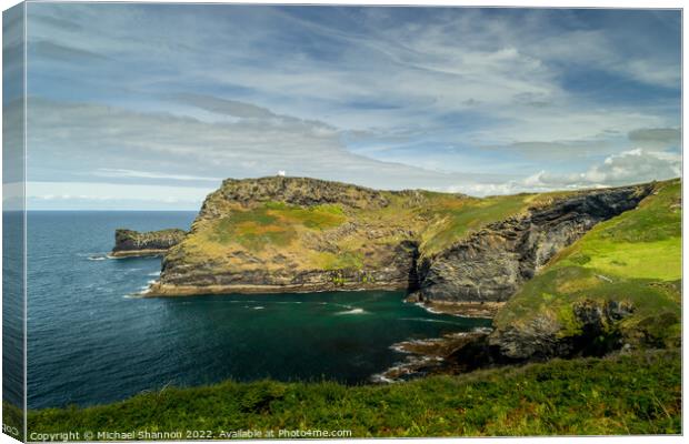 Rugged cliffs viewed from the South West Coast Pat Canvas Print by Michael Shannon