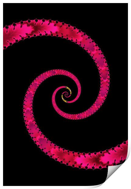 Snake Spiral Print by Vickie Fiveash