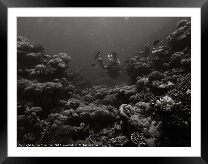 Diving in monochrome Framed Mounted Print by Ian Cramman