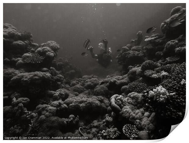 Diving in monochrome Print by Ian Cramman
