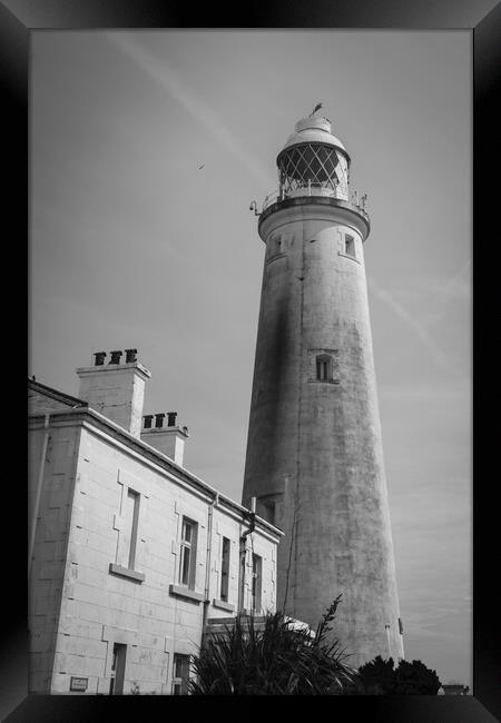 St Mary's Lighthouse Framed Print by Mark Jones