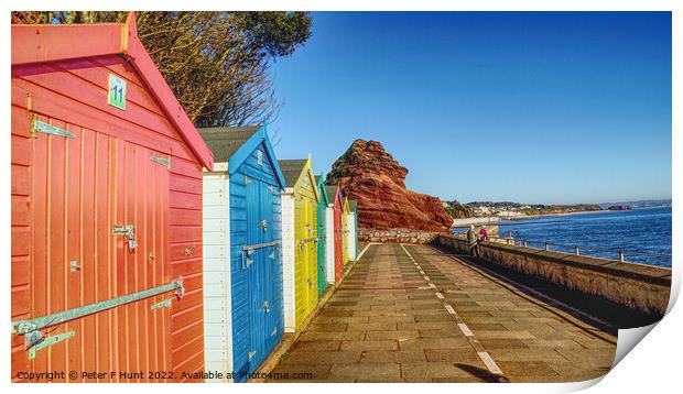 Beach Huts At Dawlish  Print by Peter F Hunt