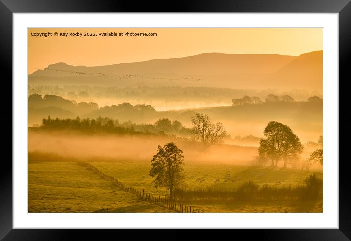 Campsie Fells autumn sunrise Framed Mounted Print by Kay Roxby