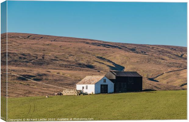 Two Teesdale Barns Canvas Print by Richard Laidler