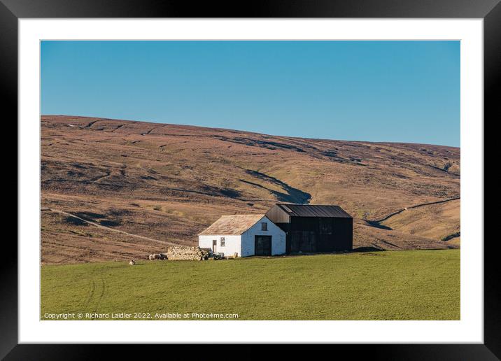 Two Teesdale Barns Framed Mounted Print by Richard Laidler