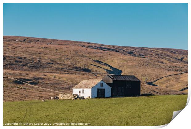 Two Teesdale Barns Print by Richard Laidler