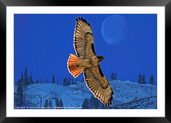 Wings Framed Mounted Print by Donna Kennedy