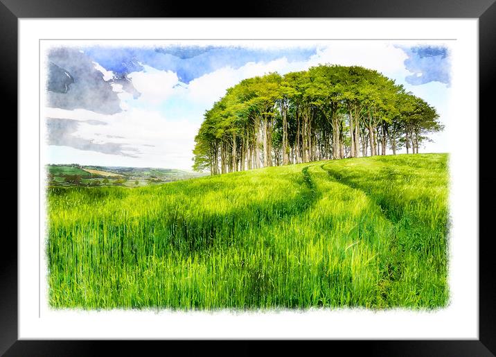 Copse of Trees in Barley Field Framed Mounted Print by Helen Hotson