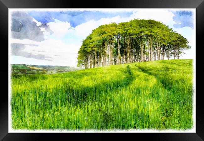 Copse of Trees in Barley Field Framed Print by Helen Hotson