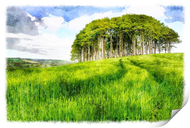 Copse of Trees in Barley Field Print by Helen Hotson