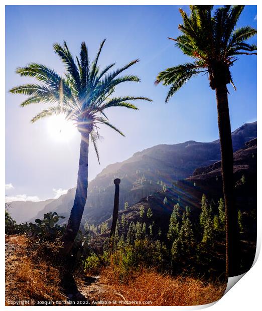 Palm trees in a Moroccan oasis surrounded by mountains in the mo Print by Joaquin Corbalan