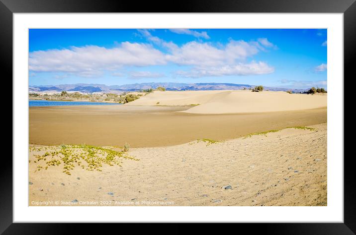 Sand dunes on the Canarian beach of Maspalomas. Framed Mounted Print by Joaquin Corbalan